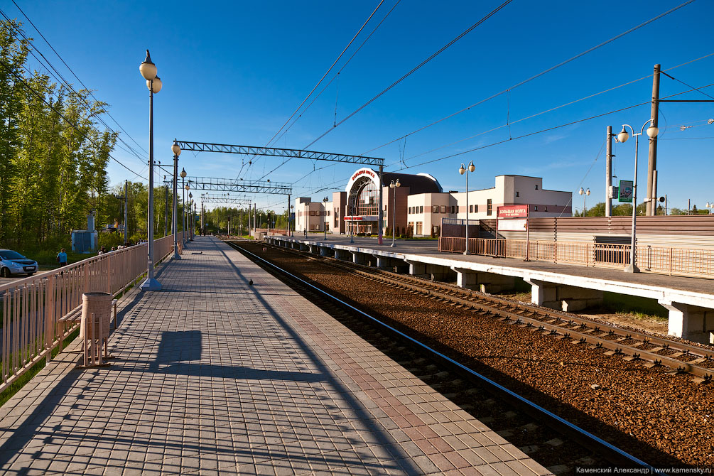 Большая волга москва